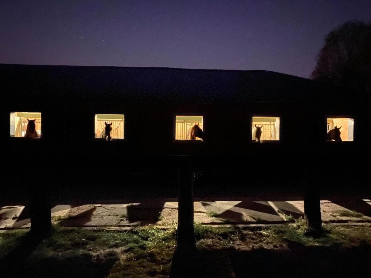 Het Innerhof Opglabbeek Eksteriør billede